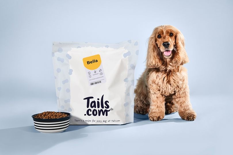 50% off your first box of tailored dog food